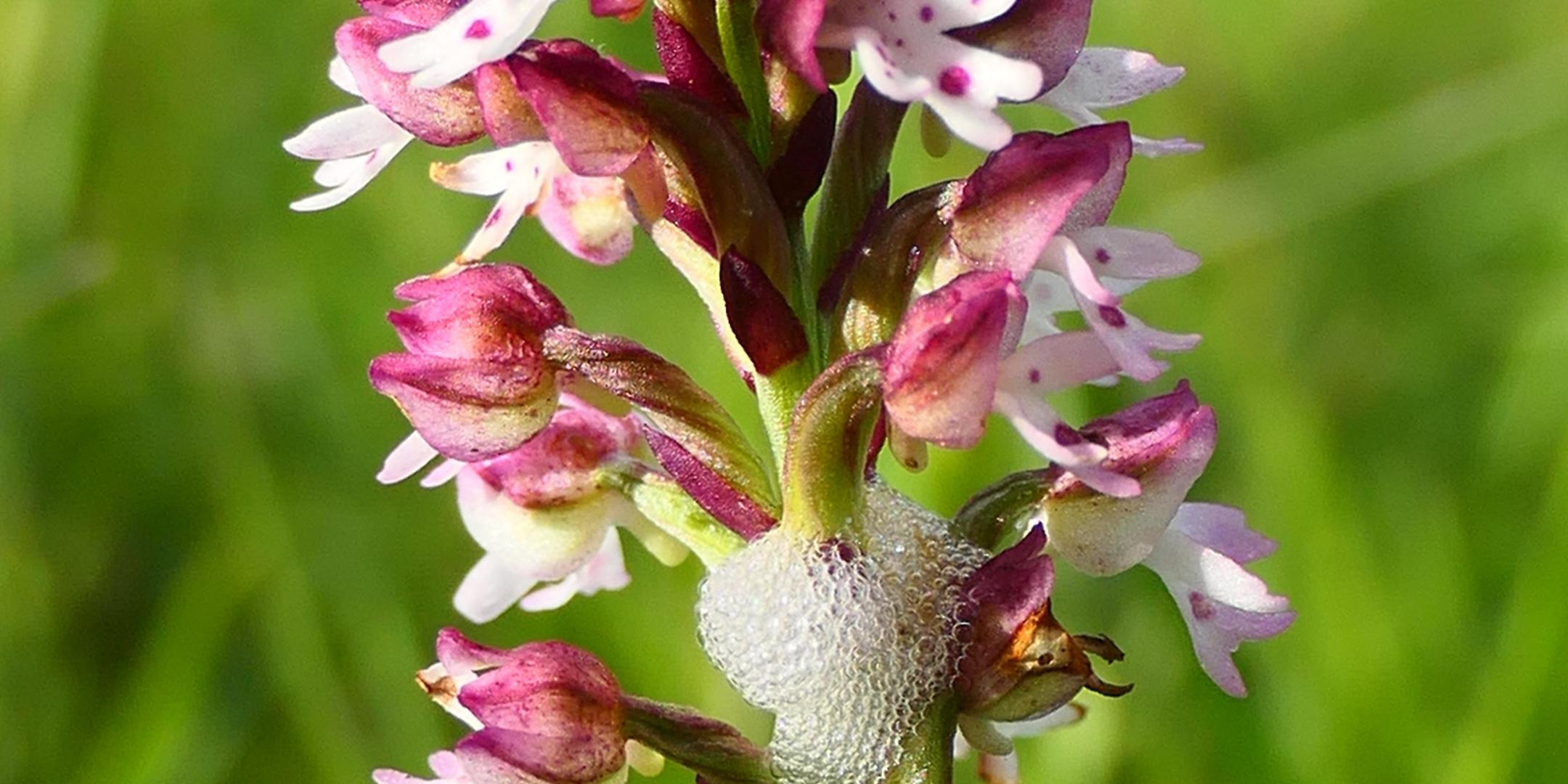 20240503214346_1_by_Barbara_Schartz_pfarrbriefservice