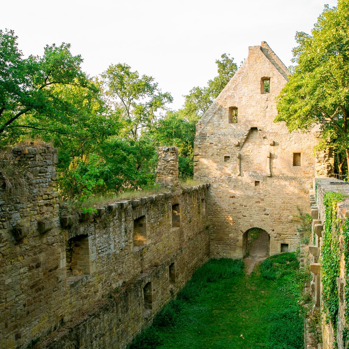 Ferienregion Bad Sobernheim_Klosterruine Disibodenberg5_3timeKate