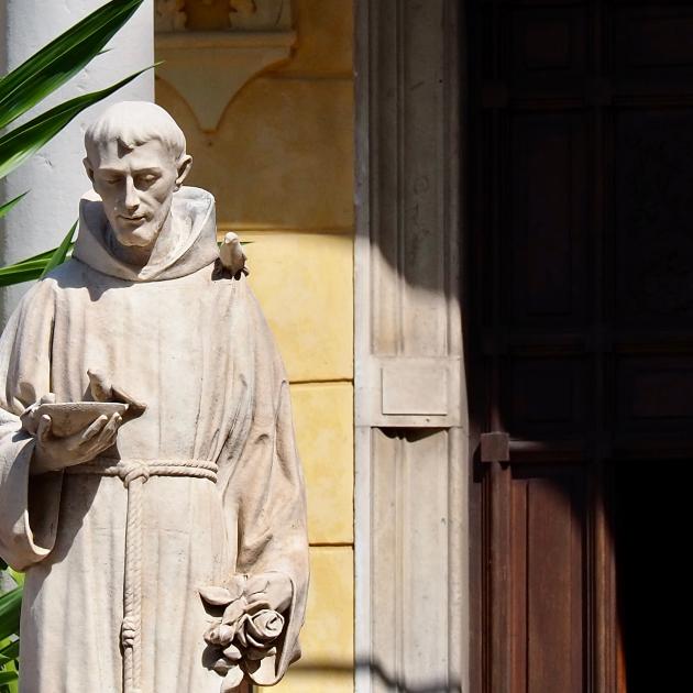 Steinstatue eines Mönchs mit Buch in sonnigem Hof neben einer Pflanze