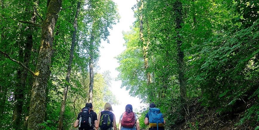 Fusswallfahrt BIR 2 quadrat