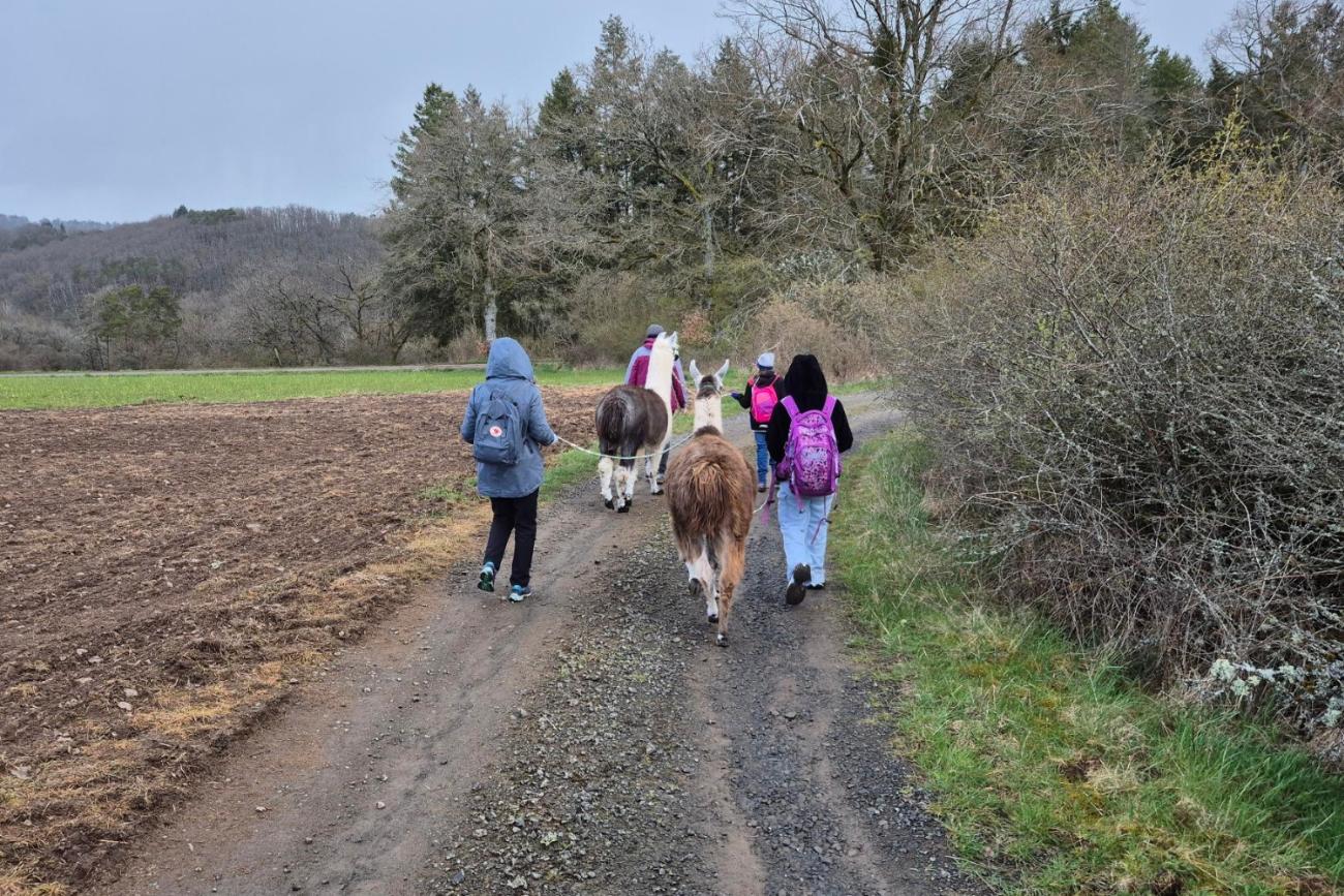 Lama Wanderung 1