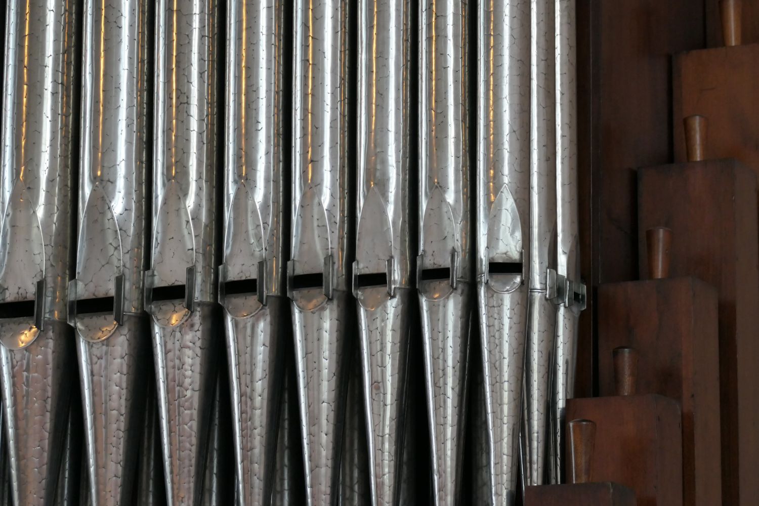 Orgel