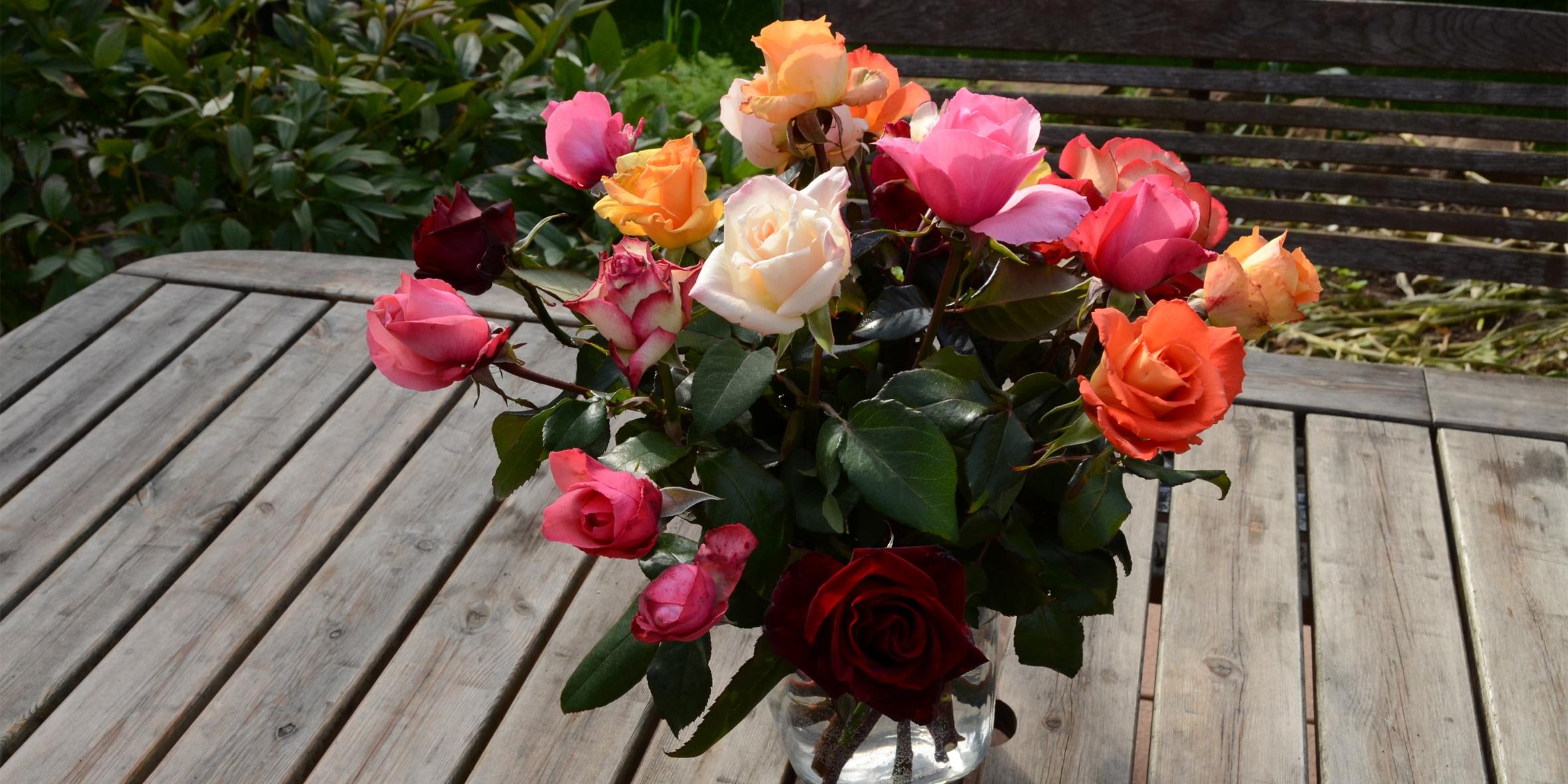 Strauß rosen 17637_dsc_0291_by_christian_schmitt_pfarrbriefservice (c) Bild: Christian Schmitt In: Pfarrbriefservice.de Strauß rosen 17637_dsc_0291_by_christian_schmitt_pfarrbriefservice