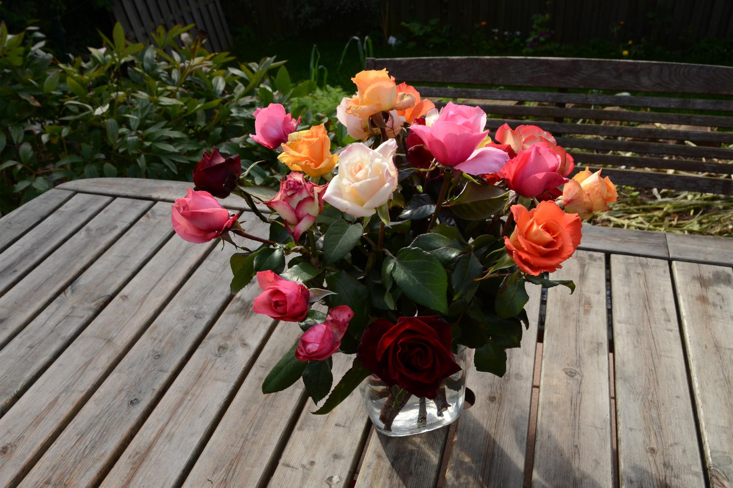 Strauß rosen 17637_dsc_0291_by_christian_schmitt_pfarrbriefservice