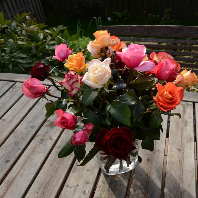 Strauß rosen 17637_dsc_0291_by_christian_schmitt_pfarrbriefservice