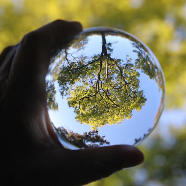 glasbaum_by_Christiane_Raabe_pfarrbriefservice